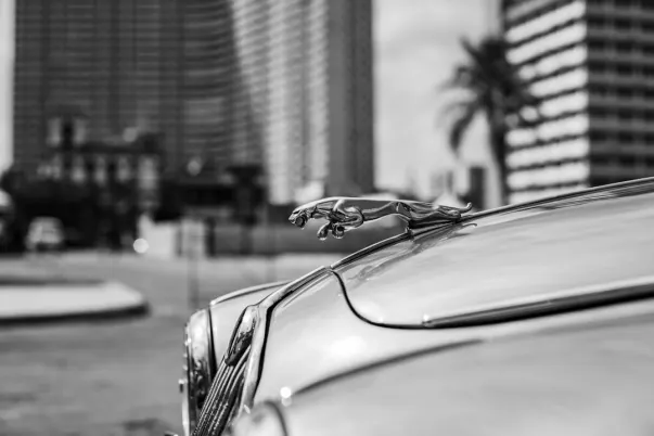 WagerWeb Casino Android/iOS aplikacija